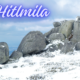 Hitlmila