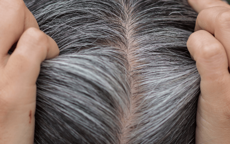 Root-touch-up-for-grey-hair Effortless Roots How to Blend Grey Hair with Dark Brown Hair: Unlock Your Ageless Style